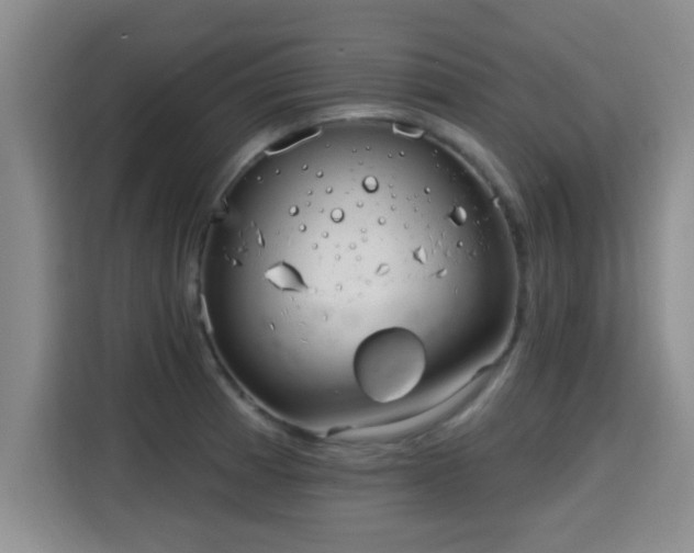 X0000115691185200911191108