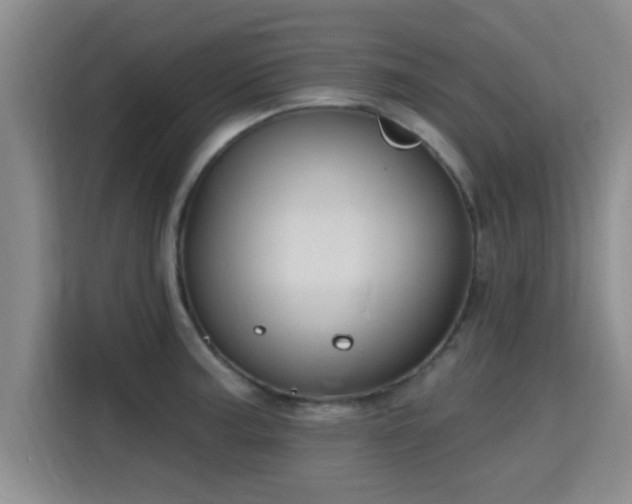 X0000115691187200911191108