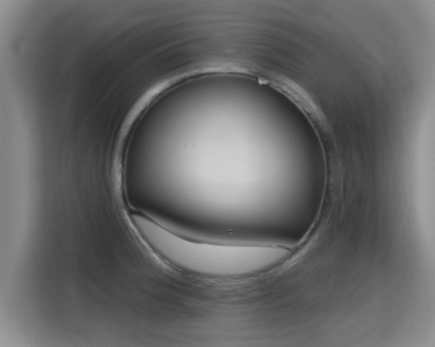 X0000115691188200911191108