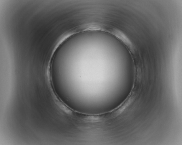 X0000115691190200911191108