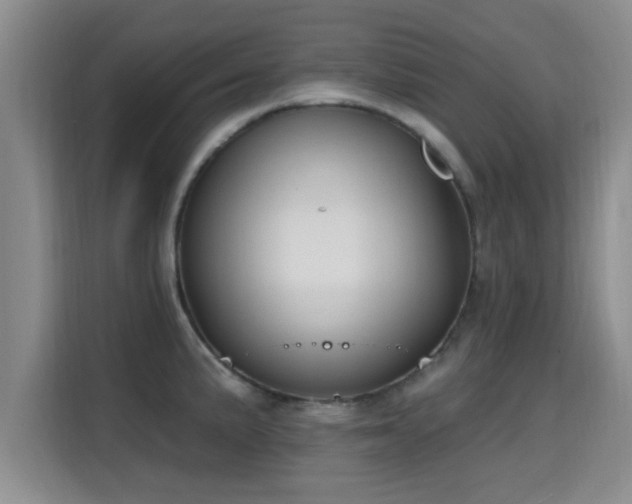 X0000115691191200911191108