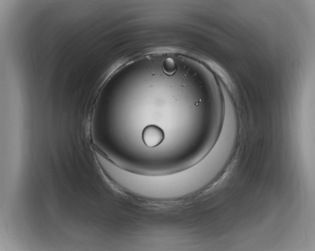 X0000115691193200911191108