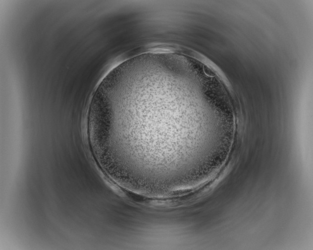 X0000115691194200911191108