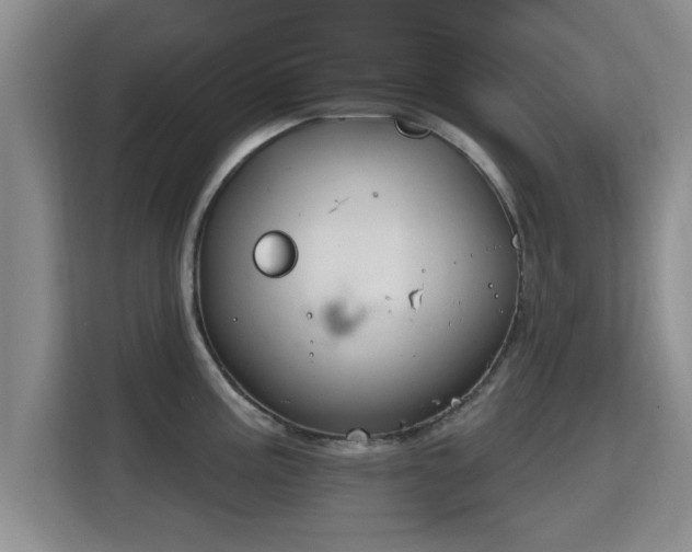 X0000115691195200911191108