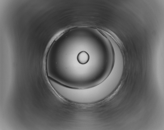 X0000115691196200911191108