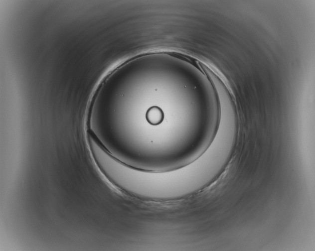 X0000115691197200911191108