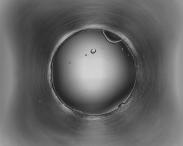 X0000115691199200911191108