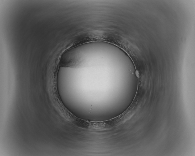 X0000115691201200911191107