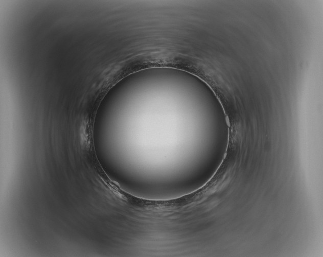 X0000115691202200911191107