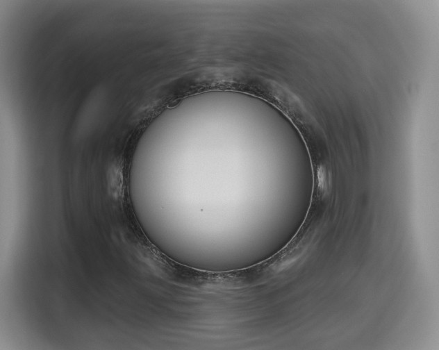 X0000115691203200911191107