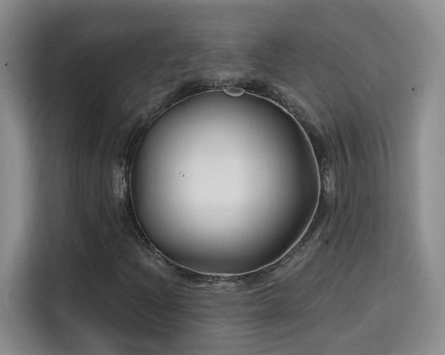 X0000115691204200911191107