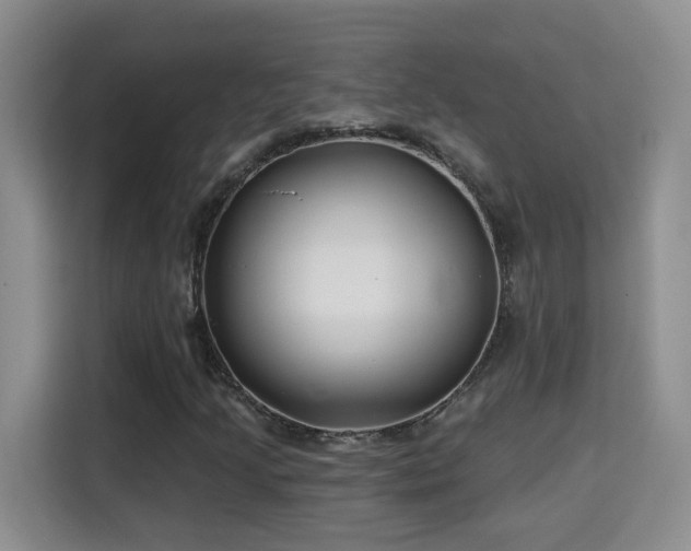 X0000115691205200911191107