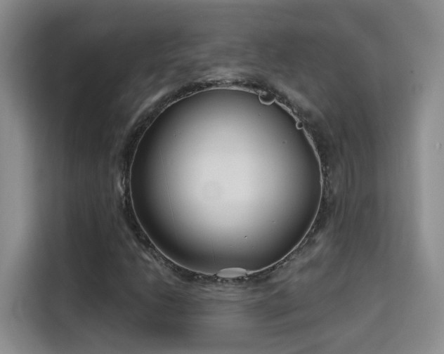 X0000115691206200911191107