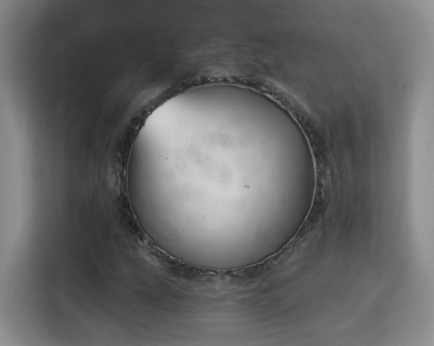 X0000115691207200911191107