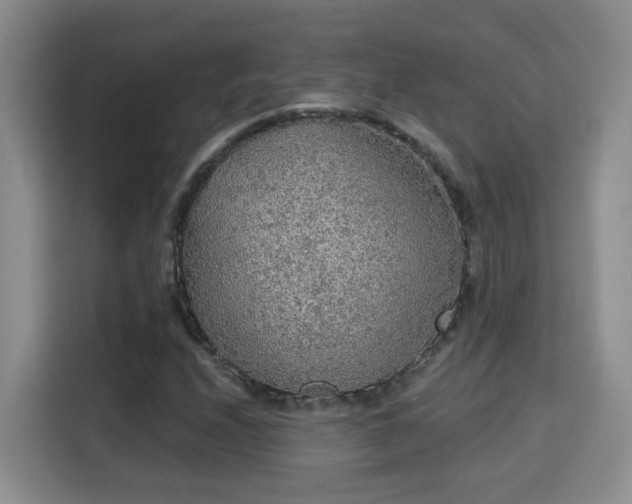 X0000115691208200911191107