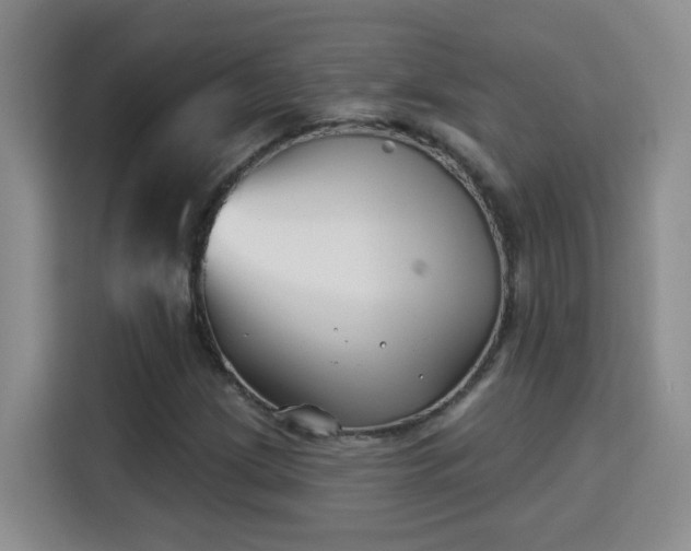 X0000115691209200911191107