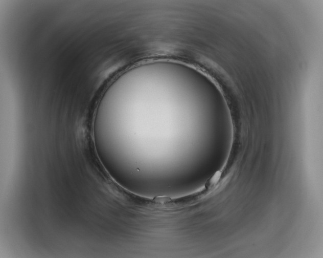 X0000115691210200911191107