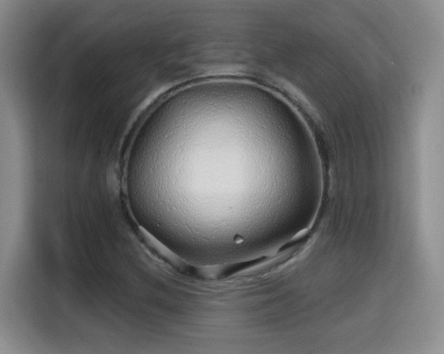 X0000115691212200911191107