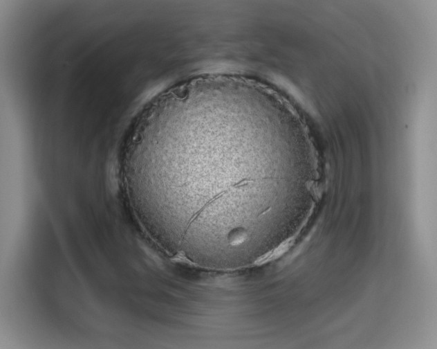 X0000115691213200911191107