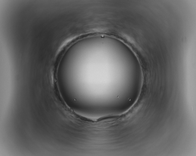 X0000115691214200911191107