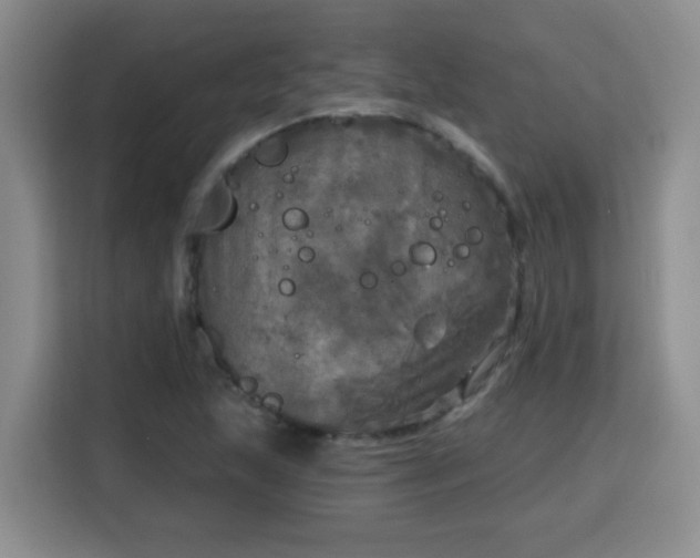 X0000115691215200911191107