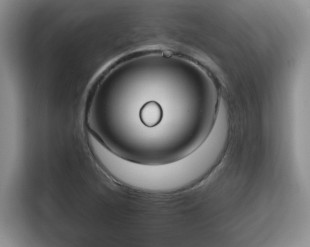 X0000115691216200911191107