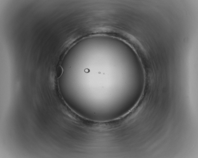 X0000115691217200911191107