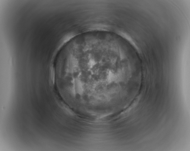 X0000115691219200911191107