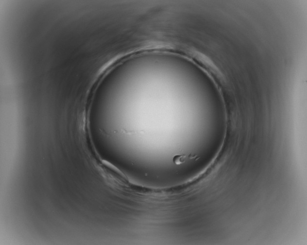 X0000115691220200911191107