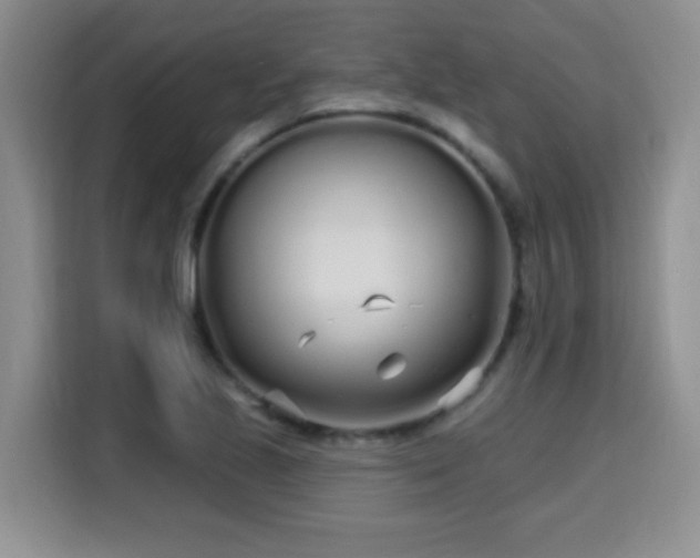 X0000115691221200911191107