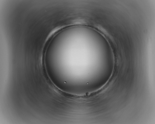 X0000115691222200911191107