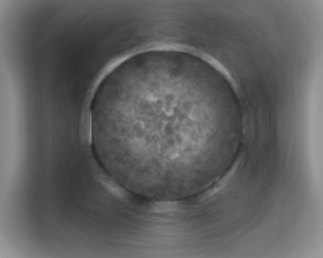 X0000115691223200911191107