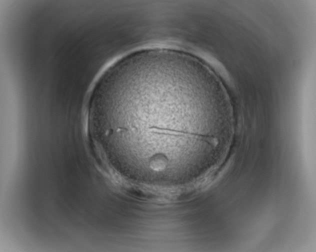 X0000115691224200911191107