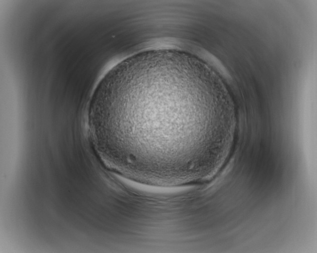 X0000115691226200911191107