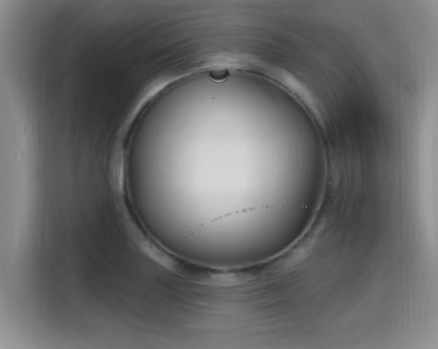 X0000115691227200911191107