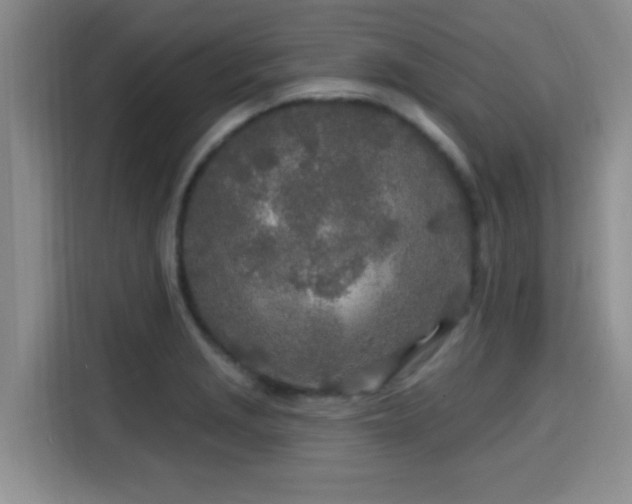 X0000115691229200911191107