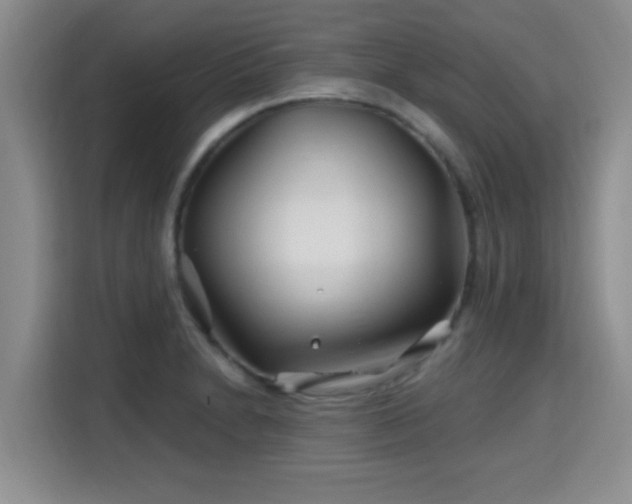 X0000115691230200911191107