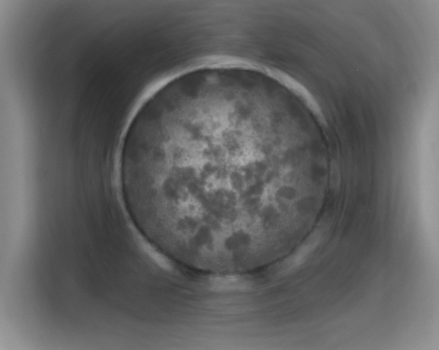 X0000115691231200911191107