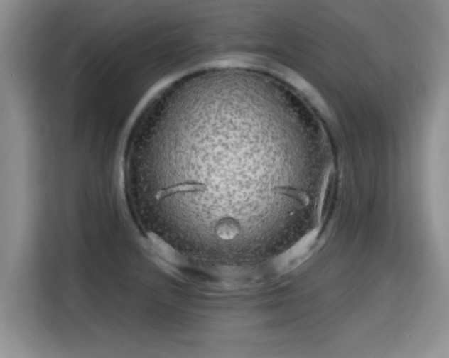 X0000115691232200911191107