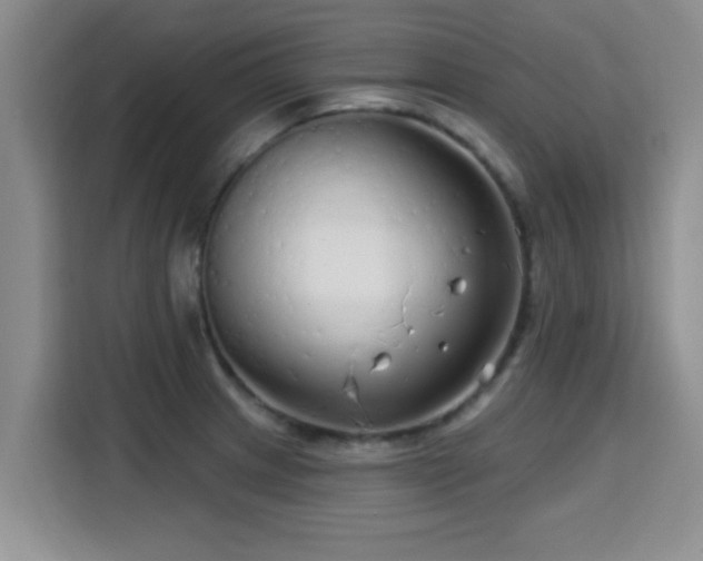 X0000115691233200911191107