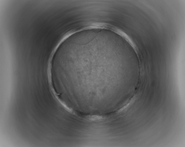 X0000115691235200911191107