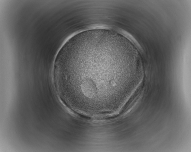 X0000115691236200911191107