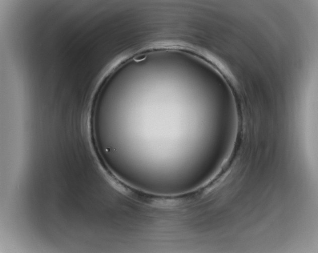 X0000115691237200911191107