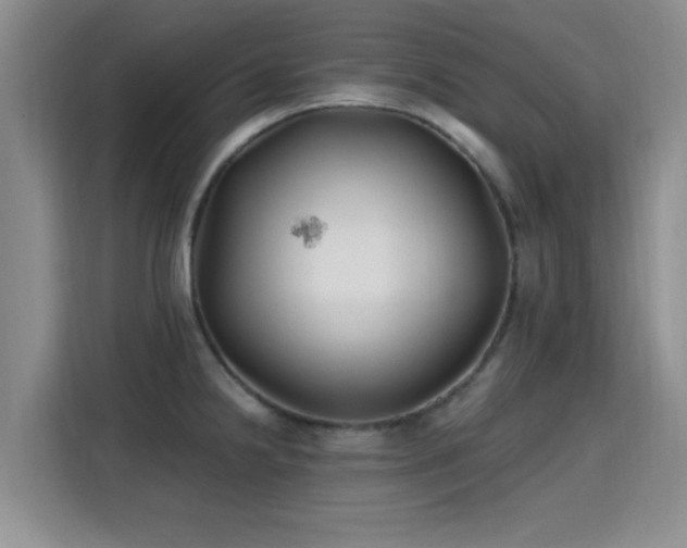 X0000115691238200911191107