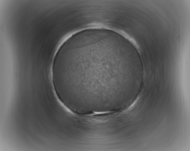 X0000115691239200911191107