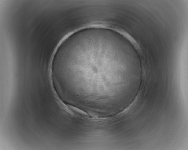 X0000115691240200911191107