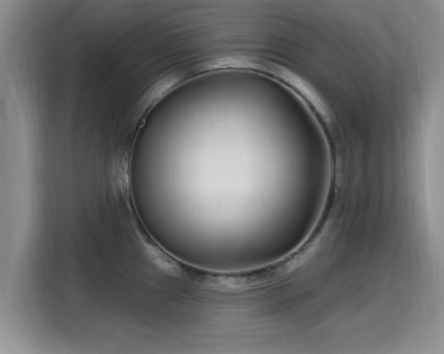 X0000115691241200911191107