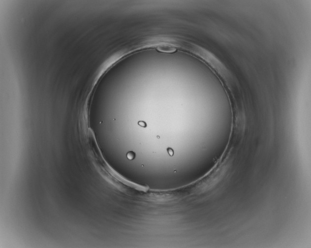 X0000115691242200911191107