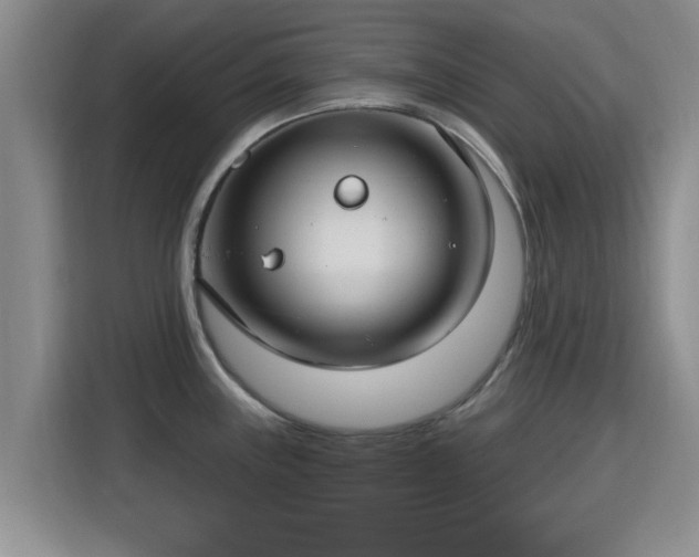 X0000115691243200911191107