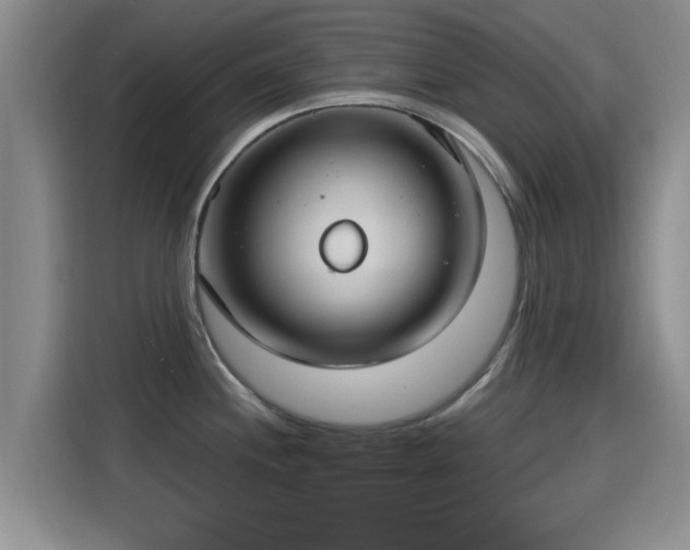 X0000115691244200911191107